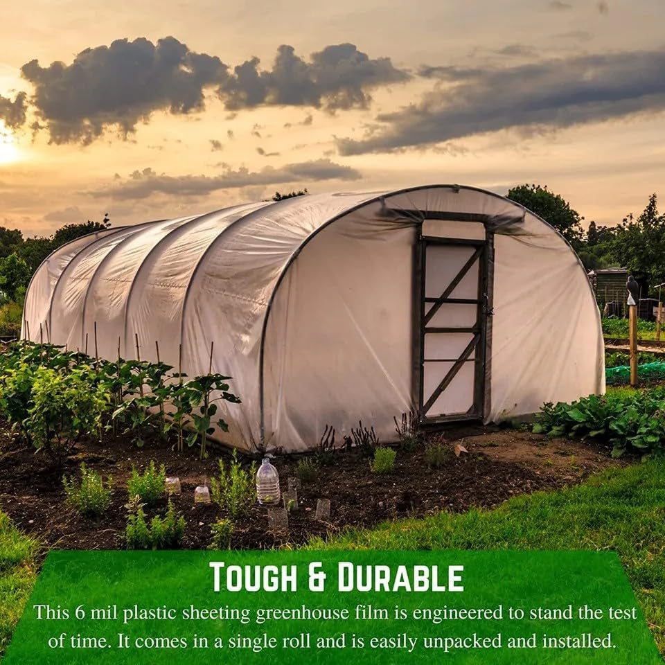 Farm Plastic Supply 4 Year Clear 6 mil Greenhouse Plastic Sheeting - Clear Sheeting, Polyethylene Greenhouse Plastic Film (32' x 50')