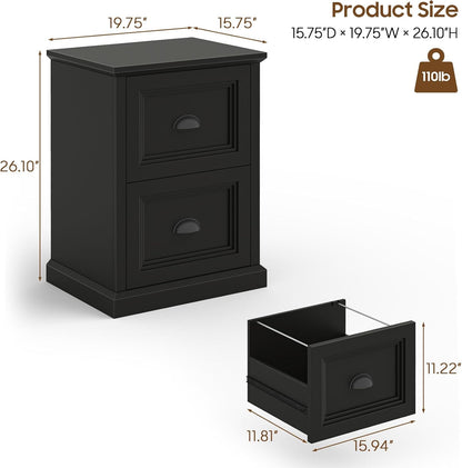 Halitaa Vertical File Cabinet, Filing Cabinet with 2 File Drawers, Farmhouse Small File Cabinet Fits Letter/A4 Size, Wooden Printer Stand, Under Desk Cabinets for Home Office, Black