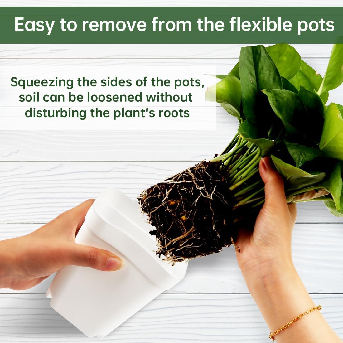 BTPLASTIK 80 Pcs Nursery Pots 4 Inch, Plastic Seed Starting Pot with Drainage Holes, Small Sturdy Seedling pots for Planting, Succulents, Transplanting, Cuttings (White)