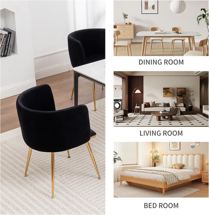 Canxkun Velvet Dining Chairs Set of 4, Barrel Dining Chairs with Gold Metal Legs, Modern Upholstered Dining Room Chair for Dining Room, Kitchen, Vanity (Black)