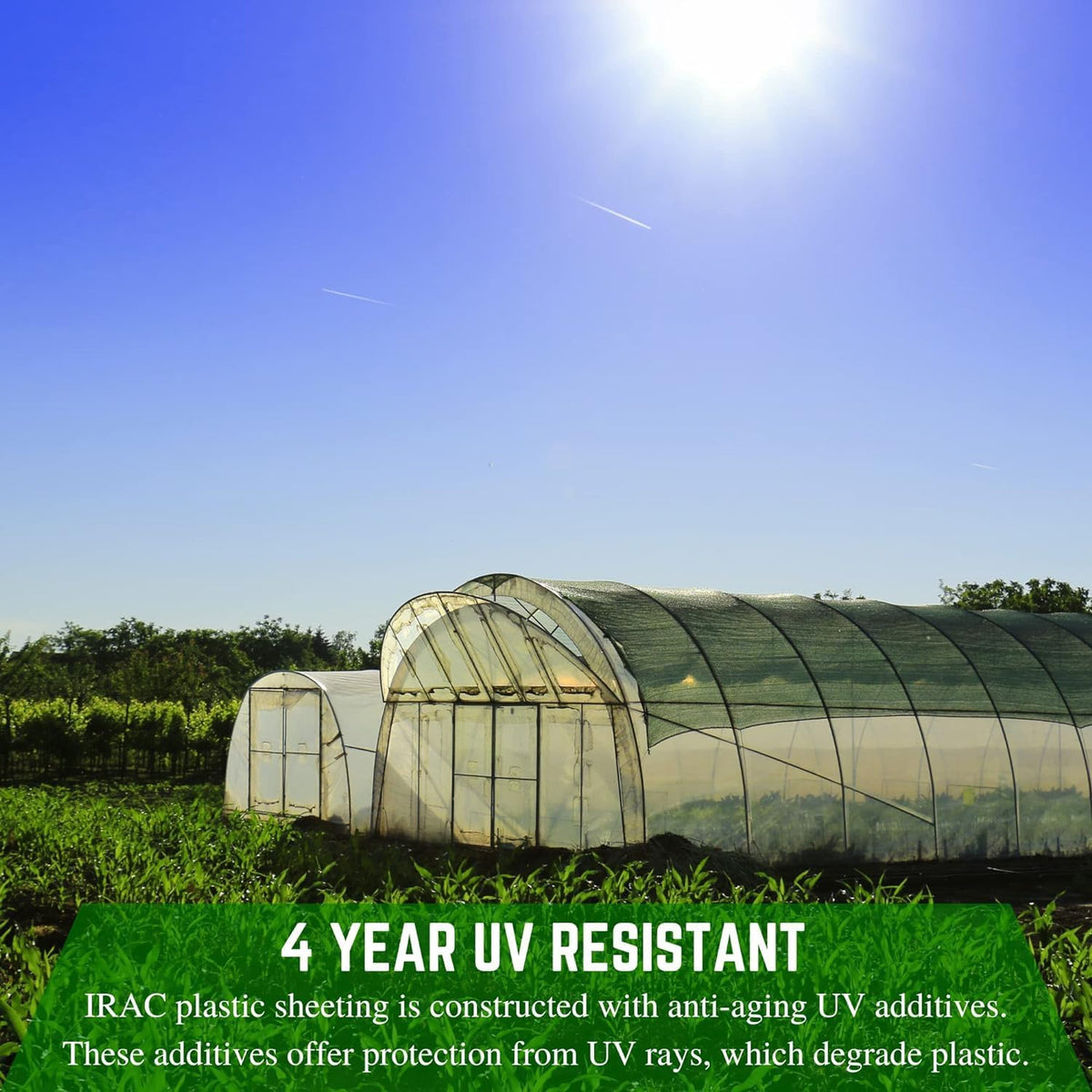 Farm Plastic Supply - Clear Coolmax Greenhouse Plastic Sheeting - 6 Mil - 4 Year UV Resistant Infrared Anti-Condensate Green House Covering Thermal Greenhouse Plastic 6 mil (50' x 50')
