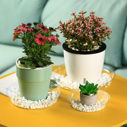 20 Packs 12" Large Clear Plant Saucers for Indoor Outdoor Use Heavy Duty Plastic Plant Trays for Planter Bulk Flower Pot Drip Trays to Catch Water, 4 to 20 Inch, Round Transparent