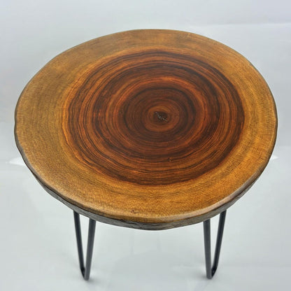 Live Edge End Table, About 15-18" W x 17" H Natural Edge Camphor Wood Stump Side Table for Living Room, Unique Desktop with Metal Hairpin Legs, Natural Wood Nightstand, Plant Stand