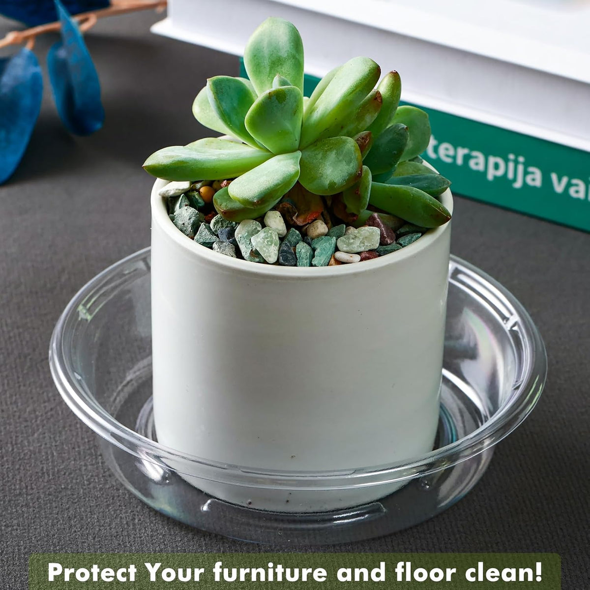 Plant Saucer 50 Pack Plant Trays for Pots 6 Inch Plastic Plant Saucers for Outdoors and Indoors Clear Drip Trays for Potted Plants Flower Pot Plates to Catch Water Plant Drainage Dishes No Holes