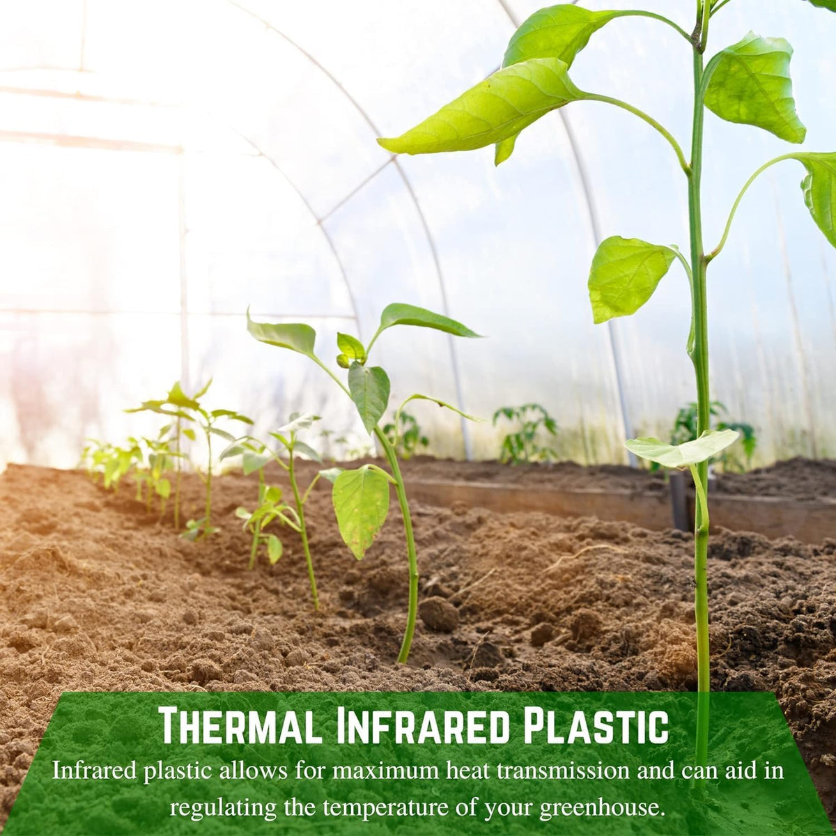 Farm Plastic Supply - Clear Coolmax Greenhouse Plastic Sheeting - 6 Mil - 4 Year UV Resistant Infrared Anti-Condensate Green House Covering Thermal Greenhouse Plastic 6 mil (40' x 60')
