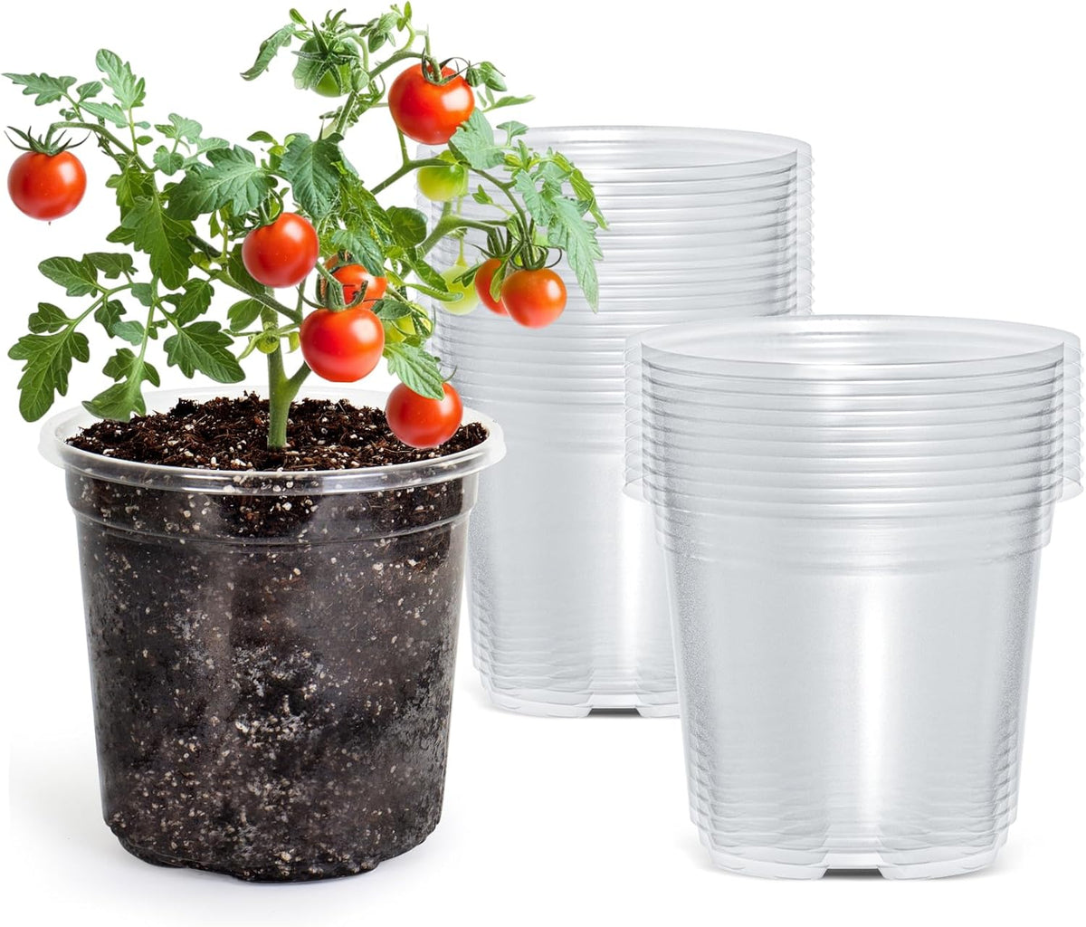 30 Packs 5 Inch Reinforced Clear Nursery Pots with Drainage Hole, Transparent Variety Pack Plastic Plant Pot Seedling Planter Seed Starter Flower
