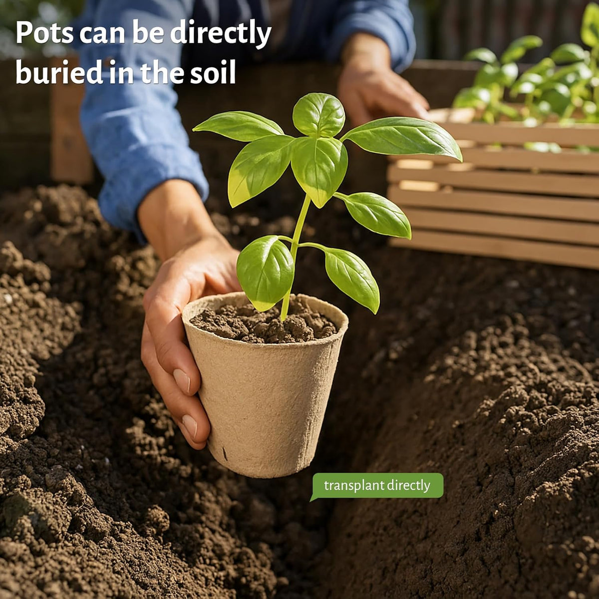 120 Packs 3.15 Inch Peat Pots, Biodegradable Pots for Seedlings with Drainage Holes, Herb Seed Starter