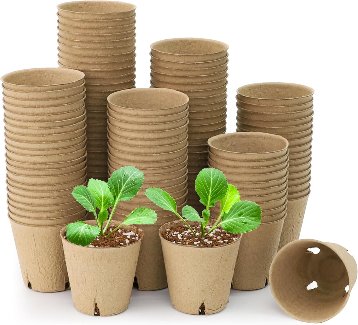 120 Packs 3.15 Inch Peat Pots, Biodegradable Pots for Seedlings with Drainage Holes, Herb Seed Starter