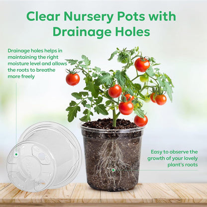 30 Packs 5 Inch Reinforced Clear Nursery Pots with Drainage Hole, Transparent Variety Pack Plastic Plant Pot Seedling Planter Seed Starter Flower