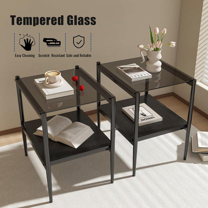 Set of 2 Rectangle Modern Glass End Table,Tempered Glass Top, Sofa Side Table with MDF Storage Shelf and Metal Legs,Modern Table for Living Room and Bedroom,Grey Glass/Black