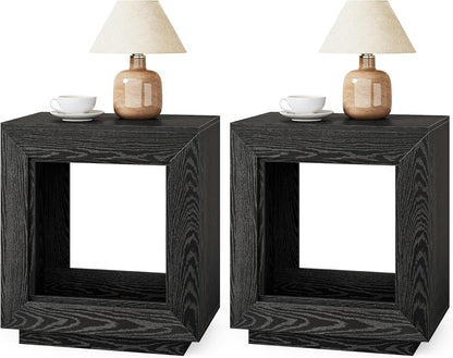 LITTLE TREE End Table with Storage, Wooden Square Side Table, Industrial Sofa Side Tables for Living Room, 2-Tier Bedside Table Nightstand for Bedroom, Chair Side Table for Small Spaces, Black