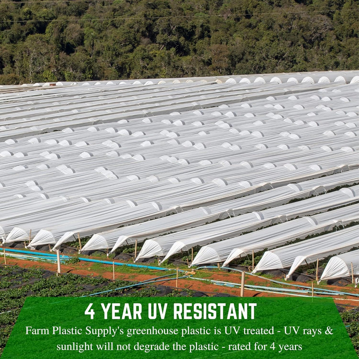 Farm Plastic Supply - String Reinforced 4 Year UV Resistant 10 mil White Greenhouse Plastic Sheeting - 4 Year UV Resistant Polyethylene Greenhouse Film, Hoop House Green House Cover (20' x 20')