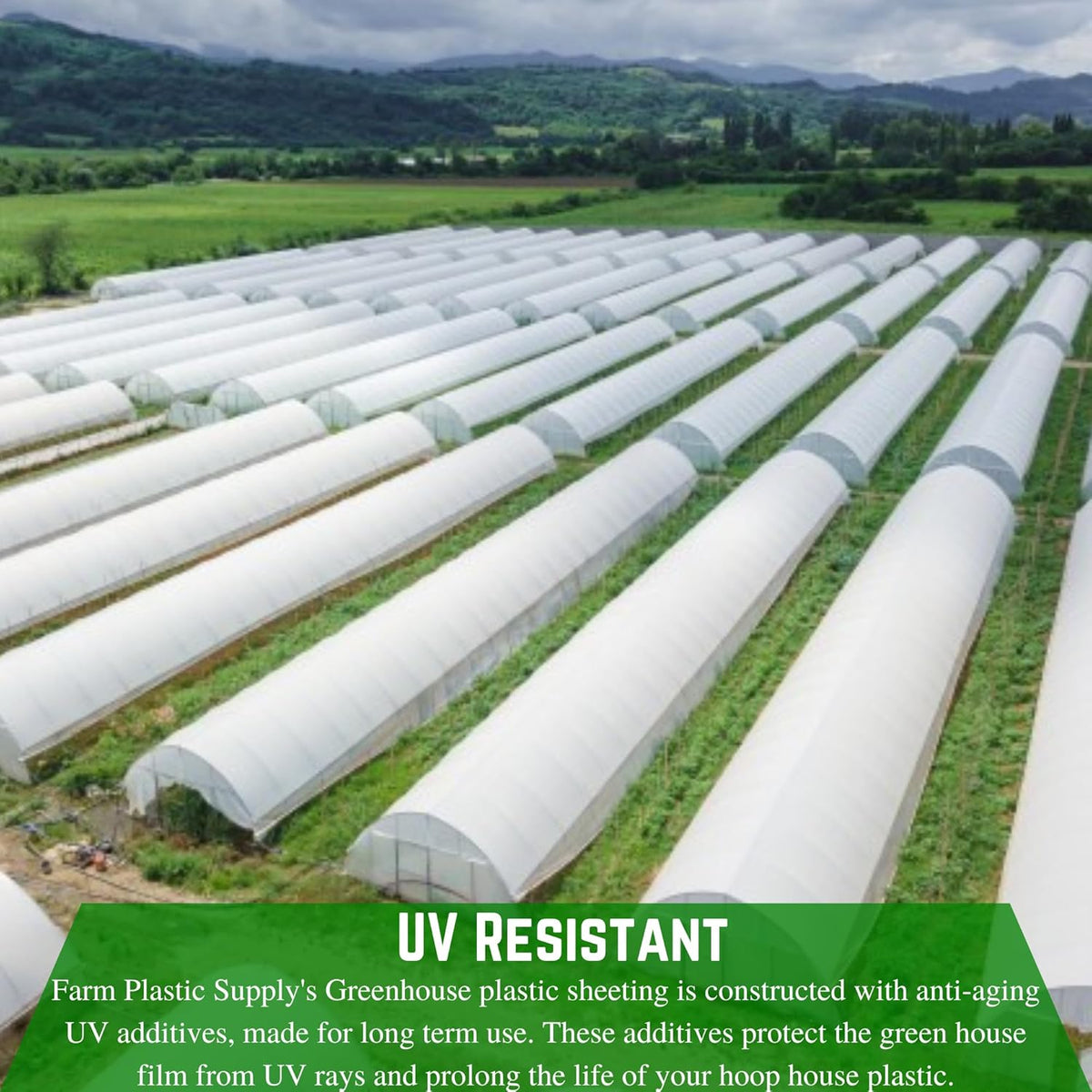 Farm Plastic Supply - String Reinforced 4 Year UV Resistant 10 mil White Greenhouse Plastic Sheeting - 4 Year UV Resistant Polyethylene Greenhouse Film, Hoop House Green House Cover (16' x 75')