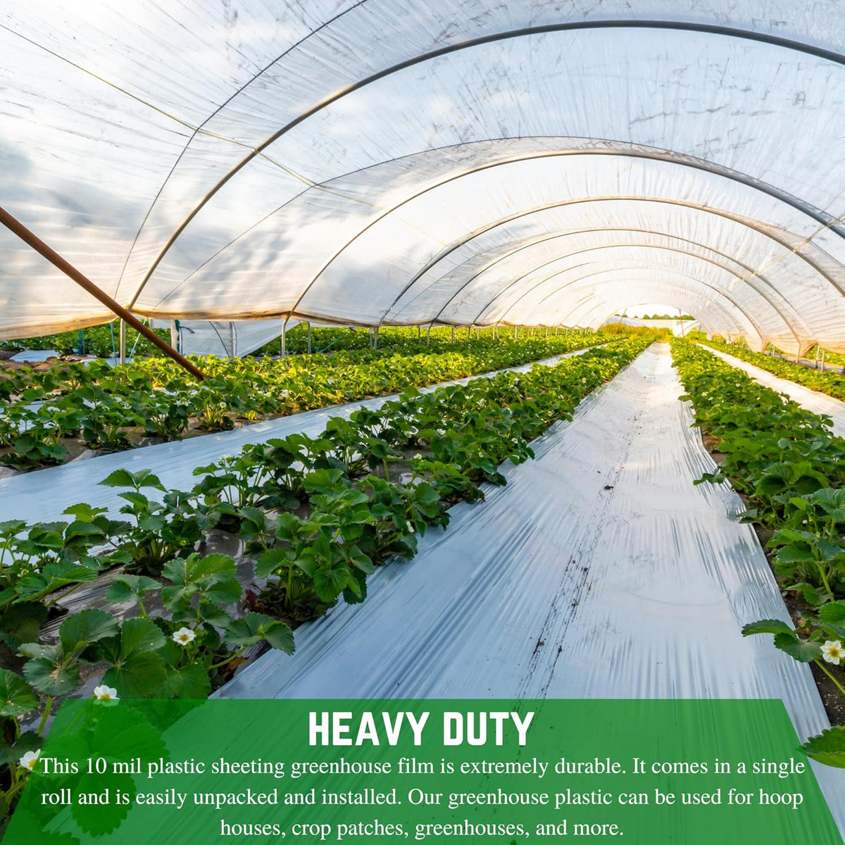 Farm Plastic Supply - String Reinforced 4 Year UV Resistant 10 mil Clear Greenhouse Plastic Sheeting - 4 Year UV Resistant Polyethylene Greenhouse Film, Hoop House Green House Cover (42' x 50')