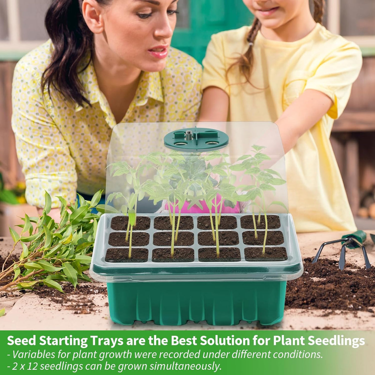 Seed Starter Tray with Plant Light, 4 Pack Grow Lights for Seed Starting Kit with Humidity Domes, Timing Controller Adjustable Brightness for Greenhouse Propagator Station Planting Growing