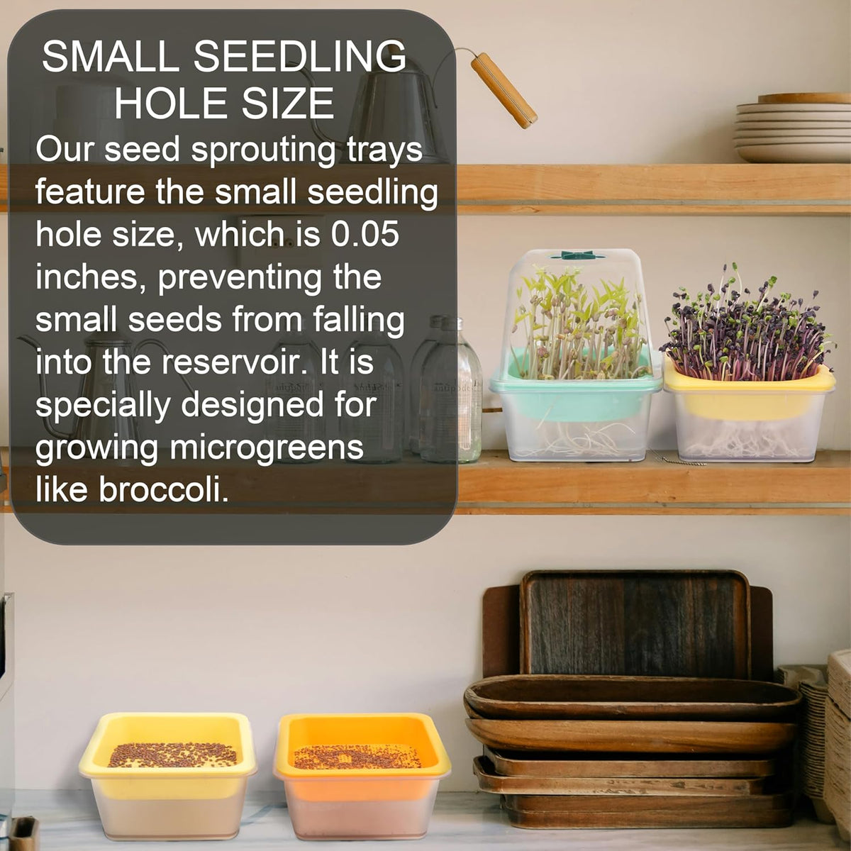 4 Pack Microgreen Growing Trays, Sprouting Tray with Humidity Dome, 1.2 mm Small Mesh Holes, BPA Free, Sprouter Kit for Growing Mirco Seeds, Like Broccoli, Alfalfa, Radish, Clover - Clear Base