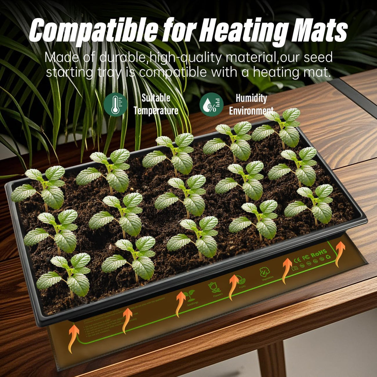 Seed Starter Kit - 10 Pack 1020 Seed Trays with 2 Seedling Heat Mats for Plants (10"x20.5"), Complete Seed Germination Kit for Indoor Gardening, Greenhouse Accessories Gardening Gifts