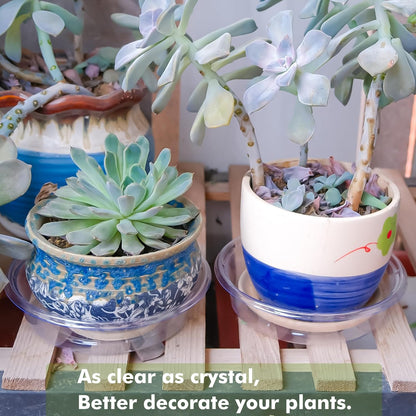 Plant Saucer 30 Pack Plant Trays for Pots 6 Inch Plastic Plant Saucers for Outdoors and Indoors Clear Drip Trays for Potted Plants Flower Pot Plates to Catch Water Plant Drainage Dishes No Holes