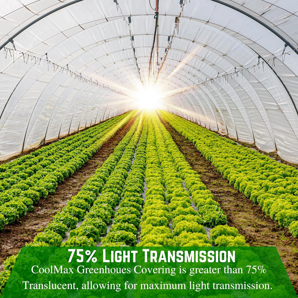 Farm Plastic Supply - Clear Coolmax Greenhouse Plastic Sheeting - 6 Mil - 4 Year UV Resistant Infrared Anti-Condensate Green House Covering Thermal Plastic 6 mil (40' x 70')