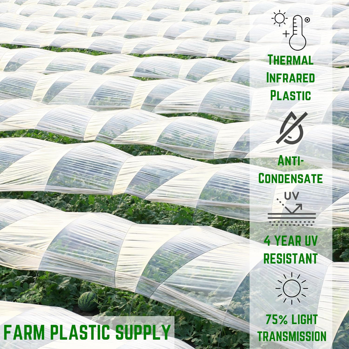 Farm Plastic Supply - Clear Coolmax Greenhouse Plastic Sheeting - 6 Mil - 4 Year UV Resistant Infrared Anti-Condensate Green House Covering Thermal Greenhouse Plastic 6 mil (32' x 100')