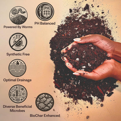 Craft Aroid Potting Mix- Elite Alocasia, Philodendron, Monstera Soil Mix, Chunky, Well Draining Potting Soil for Indoor Plants, All Tropical Plants & Houseplants, Peat Free 12QT