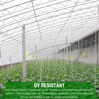 Farm Plastic Supply - String Reinforced 4 Year UV Resistant 10 mil Clear Greenhouse Plastic Sheeting - 4 Year UV Resistant Polyethylene Greenhouse Film, Hoop House Green House Cover (42' x 50')