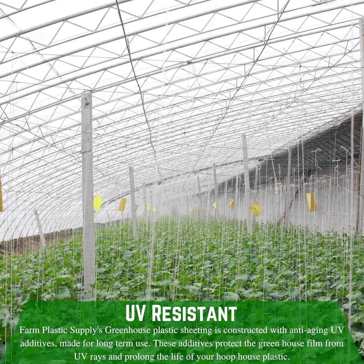 Farm Plastic Supply - String Reinforced 4 Year UV Resistant 10 mil Clear Greenhouse Plastic Sheeting - 4 Year UV Resistant Polyethylene Greenhouse Film, Hoop House Green House Cover (12' x 25')